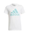 T-shirt met logo Junior Wit/Groen_1