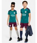 PSG Dri-Fit Strike Trainingsset JR Groen/Bordeaux_1