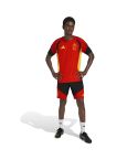 RBFA België Trainings T-shirt & Short Rood/Geel/Zwart_1