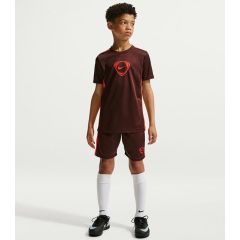 Dri-Fit Academy+ T-shirt & Short Junior Bordeaux/Rood_1